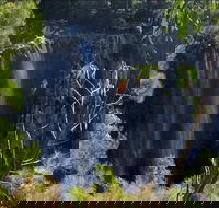 Byron Bay Hinterland Tour Including Rainforest Walk to Minyon Falls - Schoolies Week Accommodation
