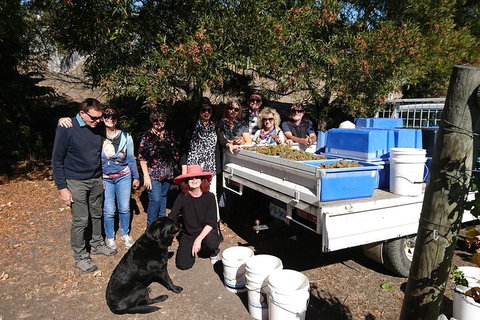 Valleys Of Vino Tour - Schoolies Week Accommodation 1