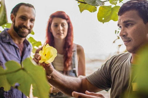 Ngana Julaymba Dungay - Full Day - Schoolies Week Accommodation 4