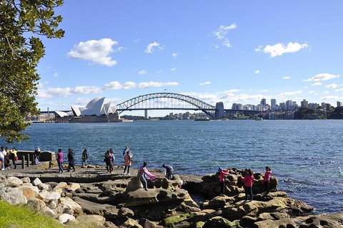 Sydney Sightseeing Bus Tours - Schoolies Week Accommodation 2