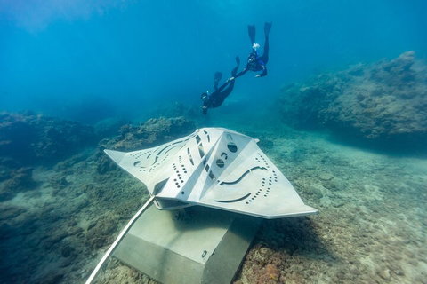 Premium Private Charter - Schoolies Week Accommodation 5