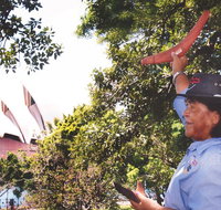 illi-Langi The Rocks Aboriginal Dreaming Tour - Schoolies Week Accommodation