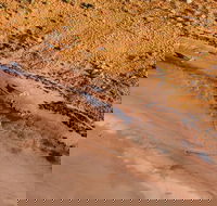 Scenic Flight Lizard Safari - Schoolies Week Accommodation