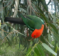 3-Day Private Adelaide to Melbourne tour - Schoolies Week Accommodation