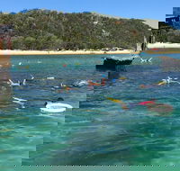 All Inclusive Dolphin and Tangalooma Wrecks Cruise - Schoolies Week Accommodation