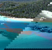 All Inclusive Tangalooma Wrecks Cruise Tour From Gold Coast - Schoolies Week Accommodation