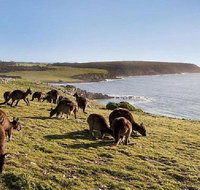 Kangaroo Island Personal Group Tours - Schoolies Week Accommodation