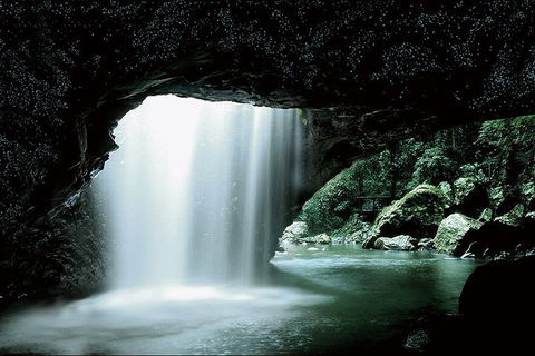 Natural Bridge Glow Worm Night Tour From Gold Coast - Schoolies Week Accommodation 0