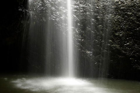 Natural Bridge Glow Worm Night Tour From Gold Coast - Schoolies Week Accommodation 2