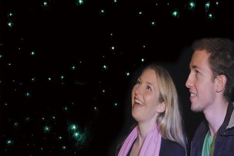 Natural Bridge Glow Worm Night Tour From Gold Coast - Schoolies Week Accommodation 3