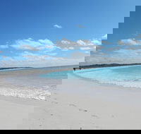 Shipwreck Special Nature Tour/Half Day Tour - Schoolies Week Accommodation
