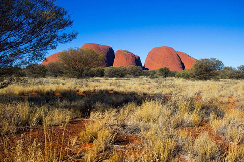 Kata Tjuta Sunrise And Valley Of The Winds Half-Day Trip - Schoolies Week Accommodation 1