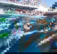 Great Barrier Reef Day Cruise from Cairns Including Snorkeling and Marine Biologist Presentation - Schoolies Week Accommodation
