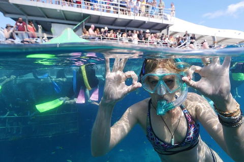 Great Barrier Reef Day Cruise From Cairns Including Snorkeling And Marine Biologist Presentation - Schoolies Week Accommodation 0