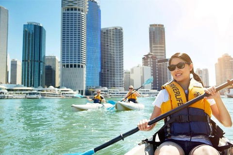 Brisbane Kayak Tour - Schoolies Week Accommodation 5