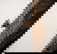 100 Metre Abseil Mount Wellington Hobart - Schoolies Week Accommodation