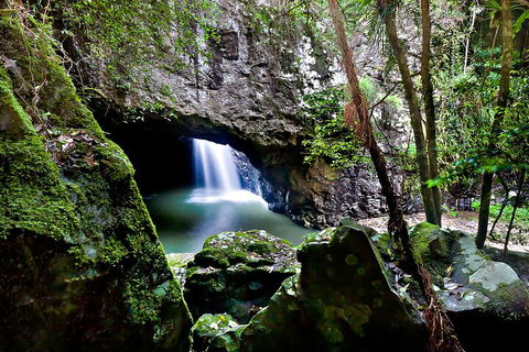 Natural Bridge & Springbrook Waterfalls Tour + Hot Air Balloon With Breakfast - Schoolies Week Accommodation 4