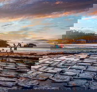 Port Arthur Private Charter Service - Schoolies Week Accommodation