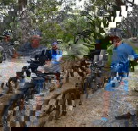 Fully guided E-Mountain Bike Tour on the beautiful Mornington Peninsula. - Schoolies Week Accommodation