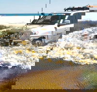 Full-Day Moreton Island 4x4 Sightseeing Tour - Schoolies Week Accommodation