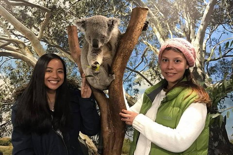 Australia Multi-City Attractions Pass - Schoolies Week Accommodation 3