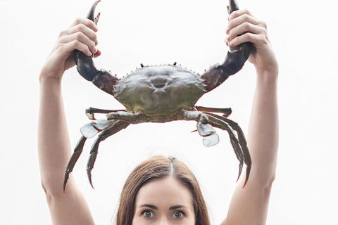 The Ultimate Gold Coast Attractions Pass - Schoolies Week Accommodation 0