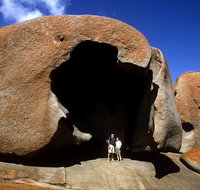 Full-Day Kangaroo Island Safari from Penneshaw - Schoolies Week Accommodation