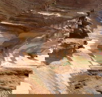 Hobart Minibus Full-Day Private Tour - Schoolies Week Accommodation