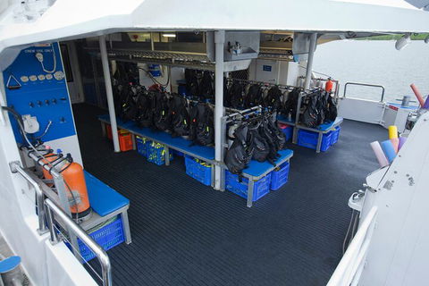 Silverswift Outer Great Barrier Reef Dive And Snorkel Cruise From Cairns - Schoolies Week Accommodation 0