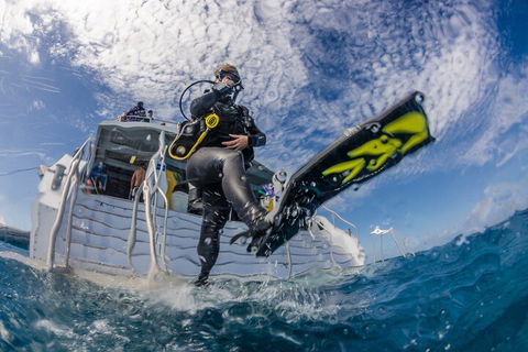 Silverswift Outer Great Barrier Reef Dive And Snorkel Cruise From Cairns - Schoolies Week Accommodation 1