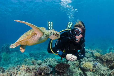 Silverswift Outer Great Barrier Reef Dive And Snorkel Cruise From Cairns - Schoolies Week Accommodation 2