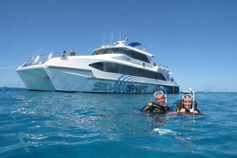 Silverswift Outer Great Barrier Reef Dive And Snorkel Cruise From Cairns - Schoolies Week Accommodation 4