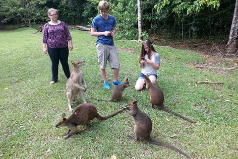 Small Group Blue Mountains Day Tour From Sydney - Schoolies Week Accommodation 2