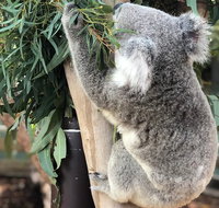 Private Blue Mountains and Wildlife Park Tour from Sydney with Barbecue Lunch - Schoolies Week Accommodation