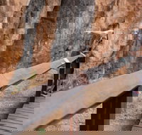 Chillagoe Caves and Outback Day Trip from Cairns - Schoolies Week Accommodation