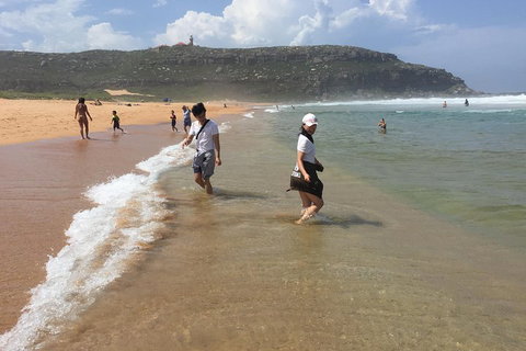 Small-Group Sydney's Northern Beaches And Ku-ring-gai National Park Bus Tour - Schoolies Week Accommodation 5