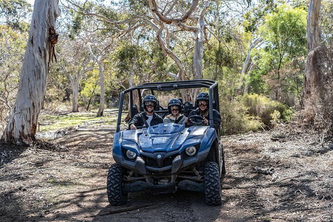 Small-Group Buggy Tour At Little Sahara With Guide - Schoolies Week Accommodation 0