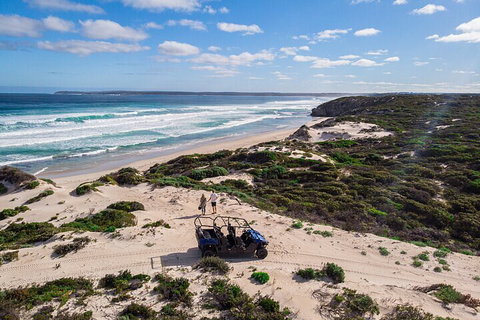 Small-Group Buggy Tour At Little Sahara With Guide - Schoolies Week Accommodation 1