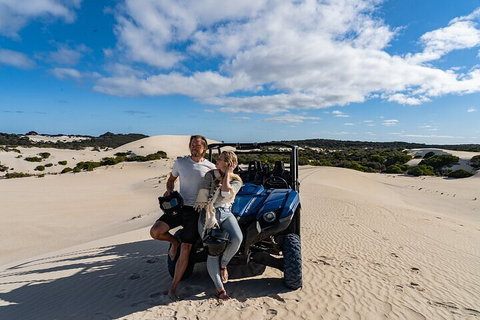 Small-Group Buggy Tour At Little Sahara With Guide - Schoolies Week Accommodation 2