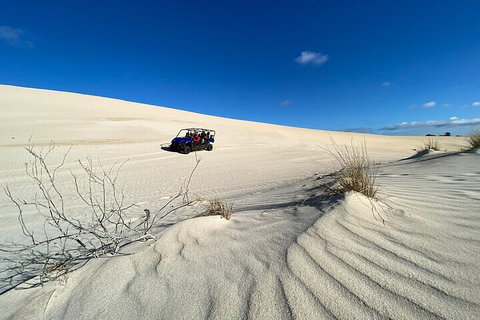 Small-Group Buggy Tour At Little Sahara With Guide - Schoolies Week Accommodation 3