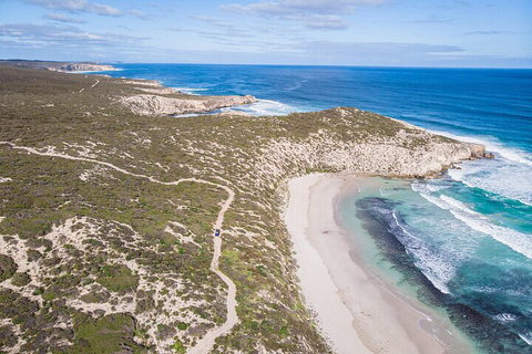 Small-Group Buggy Tour At Little Sahara With Guide - Schoolies Week Accommodation 4