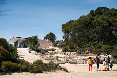 2-Hour Koala Walking Tour In Kangaroo Island - Schoolies Week Accommodation 3