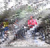 2 Hour Bike Tour in Kangaroo Island - Schoolies Week Accommodation