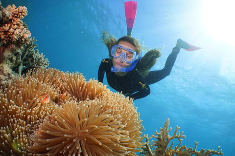 Helicopter And Cruise Packages From Port Douglas - Schoolies Week Accommodation 3