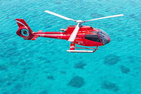 Helicopter And Cruise Packages From Port Douglas - Schoolies Week Accommodation 5