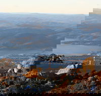 Mt. Wellington Bonorong and Richmond Day Tour from Hobart - Schoolies Week Accommodation