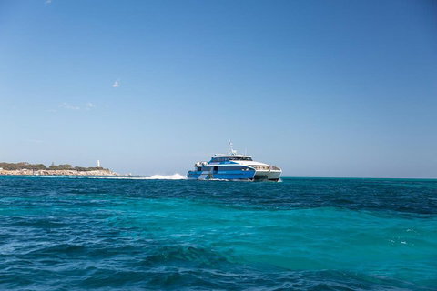 Fremantle To Rottnest Island Roundtrip Ferry Ticket - Schoolies Week Accommodation 5