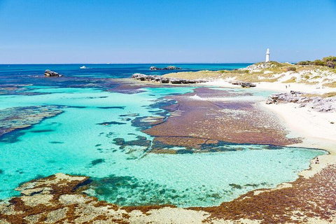 Rottnest Island All-Inclusive Grand Island Tour From Fremantle - Schoolies Week Accommodation 1