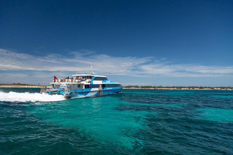 Rottnest Island All-Inclusive Grand Island Tour From Fremantle - Schoolies Week Accommodation 3