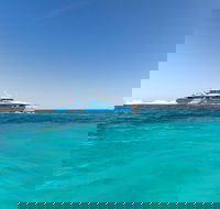 Rottnest Island Bayseeker Day Trip from Perth - Schoolies Week Accommodation
